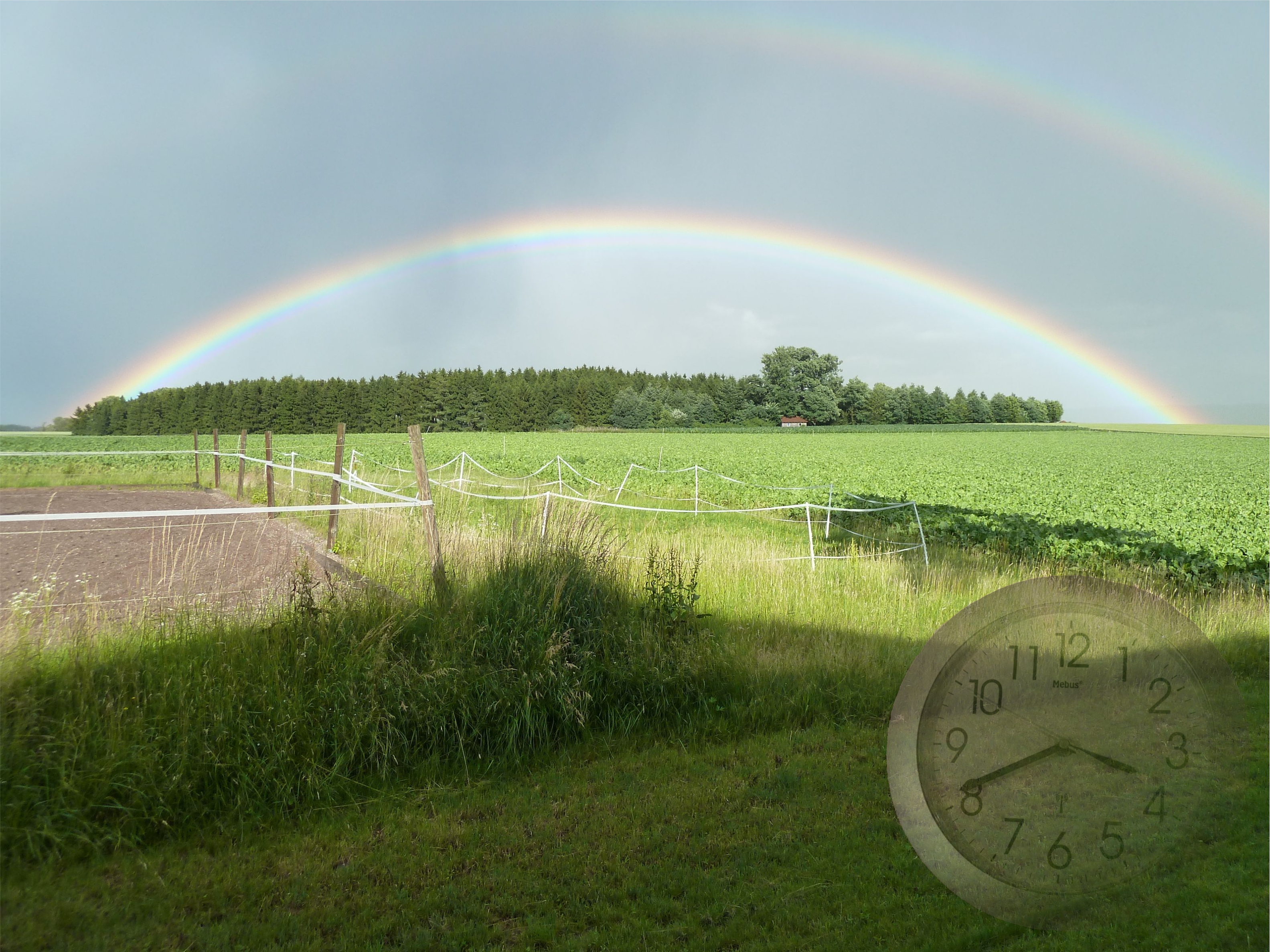 Foto NHP GünterWillmroth